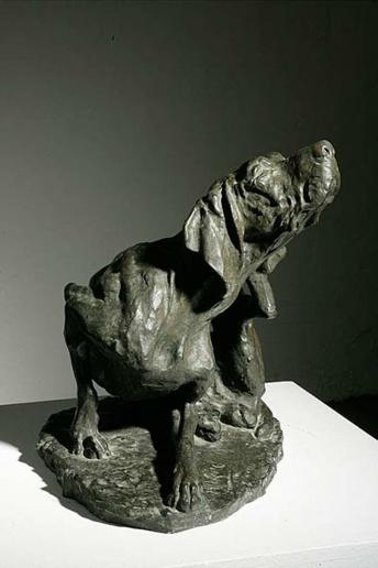 A Dog Scratching Itself