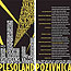 Plesopolis / Plesoland