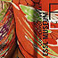 ESSL AWARD CEE 2009.