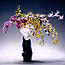 Ikebana- presentations, workshops and exhibition