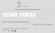 Vesne Pokas - /site specific/