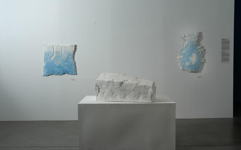 Stručna vodstva i razgovori s umjetnicima 